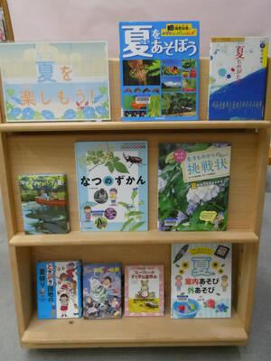 夏を楽しもう！の展示の写真